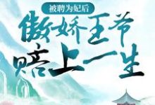 《被聘为妃后，傲娇王爷赔上一生》小说大结局免费试读 苏皎皎宋持小说-艾米文学