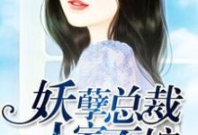 妖孽总裁，人家不嫁许静好顾岁安小说免费阅读-艾米文学