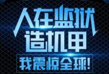 人在监狱造机甲，我震惊全球！（周扬张莉）在线免费阅读-艾米文学