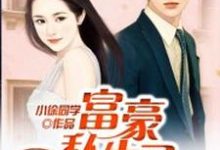 想读陆海晨叶雪辰陆鸿图黑水仙的故事，哪里可以免费找到富豪私生子？-艾米文学