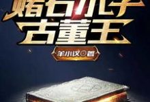 陆明为主角的小说好看吗？求赌石小子古董王免费试读-艾米文学