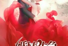 宣柳宁司逸尘小说在哪里可以看-艾米文学