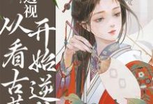 完整版的透视：从看古董开始逆袭小说在哪里可以免费读到？-艾米文学