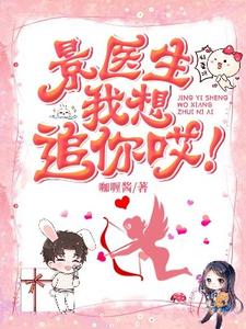 完结版《景医生我想追你哎！》章节阅读
