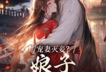 宠妻灭妾?娘子,我不会啊小说的免费阅读版本在哪里可以找到?-艾米文学