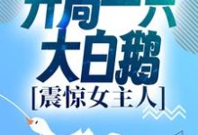 进化：开局一只大白鹅，震惊女主人免费阅读，进化：开局一只大白鹅，震惊女主人章节在线阅读-艾米文学