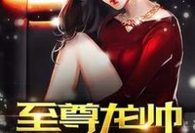 至尊龙帅小说，至尊龙帅最新章节-艾米文学