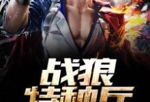 完结版《战狼特种兵》章节阅读-艾米文学