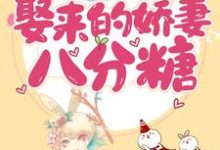 完结版《甜蜜诱饵：娶来的娇妻八分糖》章节阅读-艾米文学