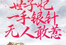 想读周卿辞盛九铮的故事，哪里可以免费找到被逼替嫁：世子妃一手银针无人敢惹？-艾米文学