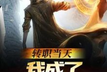 转职当天，我成了s级禁咒师免费阅读，转职当天，我成了s级禁咒师叶林-艾米文学