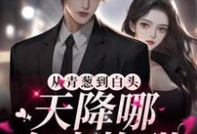 《从青葱到白头:天降哪有青梅甜》小说章节列表免费试读,周苒厉司宴小说在线阅读-艾米文学