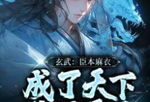 完结版《玄武：臣本麻衣，成了天下锦绣霸主》章节阅读-艾米文学
