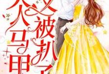 肆爷，您夫人马甲又被扒了小说的最新章节在哪里更新？免费追踪阅读-艾米文学