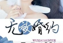 无效婚约最新章节,无效婚约章节在线阅读-艾米文学