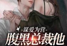 谋爱为营：腹黑总裁他把我宠上天小说完结版章节免费阅读-艾米文学