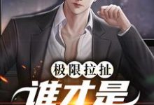 《极限拉扯：谁才是爱情赢家》全集免费在线阅读（阮梨清沈灼）-艾米文学