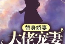 已完结小说《替身娇妻：大佬宠妻别太过》章节免费阅读-艾米文学