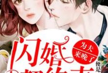 小说《闪婚契约妻:为夫来晚了》在线章节阅读-艾米文学