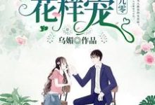 重生九零：姜少，花样宠叶柒姜毅叶琳李艳梅，重生九零：姜少，花样宠小说免费阅读-艾米文学