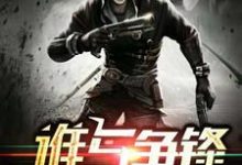 《谁与争锋》全集免费在线阅读(杨辰许露)-艾米文学