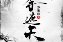 一手遮天小说有没有完整的免费版本在线阅读?-艾米文学