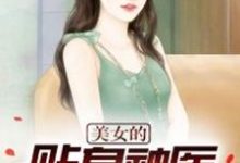 刘灿王梓莹是哪本书的主角?美女的贴身神医免费读-艾米文学