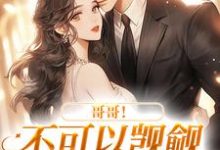 完结版《霍律师的掌上明珠》在线免费阅读-艾米文学