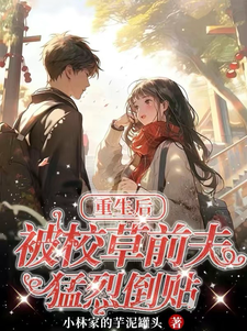 宋澜书周珩之是哪本书的主角？决心为自己而活后，校草总来倒追免费读