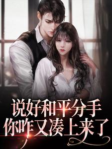 《说好和平分手，你咋又凑上来了》小说主角南卿宴忱辞宴忱周正章节章节免费在线阅读
