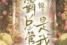 惊!霸总管家是我小说的无弹窗阅读体验,寻找免费阅读网站-艾米文学