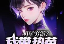 明星穷游？我带热芭日进斗金章节免费在线阅读，苏木完结版-艾米文学