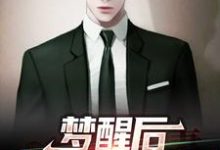 小说《梦醒后，我一夜暴富了》章节免费阅读-艾米文学