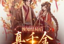 哪里可以免费读到陆泱泱盛云珠的完整故事?寻找预知结局后,真千金直接发疯-艾米文学