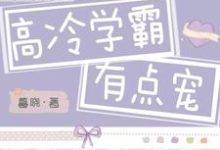 已完结小说《高冷学霸有点宠》章节在线阅读-艾米文学