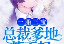 一胎三宝，总裁爹地惹不起小说全文哪里可以免费看？-艾米文学