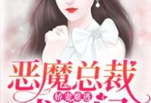 小说《娇妻难逃:恶魔总裁找上门》章节免费阅读-艾米文学