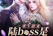 《重生甜妻：陆boss是宠妻狂魔》小说章节在线试读，《重生甜妻：陆boss是宠妻狂魔》最新章节目录-艾米文学