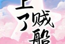 上了贼船小说的无弹窗阅读体验，寻找免费阅读网站-艾米文学
