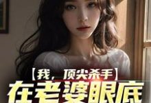 小说《我,顶尖杀手,在老婆眼底下装怂包》在线章节阅读-艾米文学