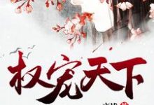 权宠天下最新章节,权宠天下免费阅读-艾米文学