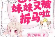 哪里能找到团宠妹妹又被拆马啦小说的最新更新和免费章节?-艾米文学
