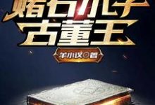 陆明为主角的小说好看吗？免费读赌石小子古董王-艾米文学
