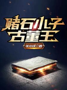 陆明为主角的小说好看吗？免费读赌石小子古董王
