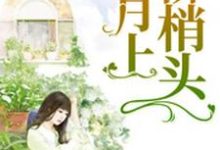 月上柳梢头小说的免费阅读版本在哪里可以找到？-艾米文学
