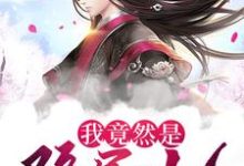 完结版《我竟然是隐居仙人》在线免费阅读-艾米文学