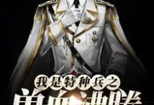 主人公叫陆枫谭晓琳的小说哪里免费看-艾米文学