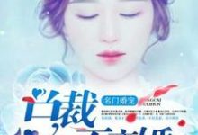 名门婚宠：总裁不离婚小说，名门婚宠：总裁不离婚江斯年秦时秦月-艾米文学