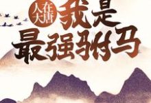 人在大唐，我是最强驸马罗信李妘娘，人在大唐，我是最强驸马小说免费阅读-艾米文学