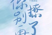 你别再撩了肖译简程惜小说大结局免费试读-艾米文学